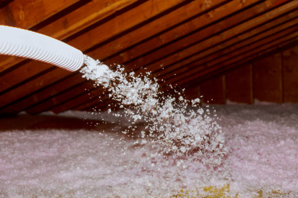 Best Cellulose Insulation in Trexlertown, PA